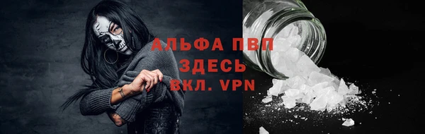 трава Арсеньев