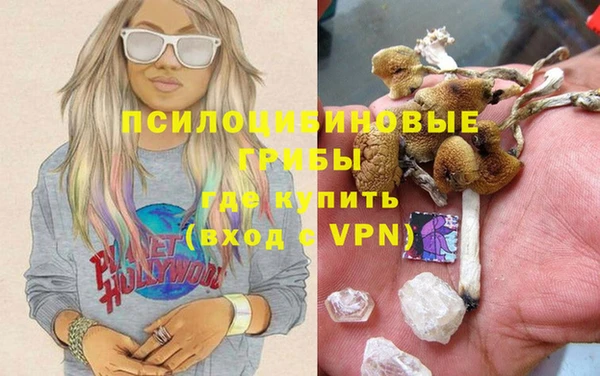 трава Арсеньев