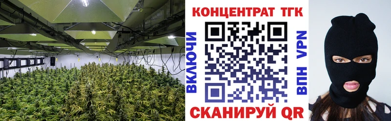 blacksprut   где купить наркотик  Муравленко  Дистиллят ТГК вейп с тгк 